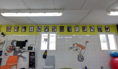 Centre Véto Physio