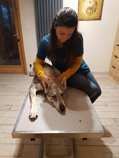 CABINET VÉTÉRINAIRE VET’HOLISTIQUE