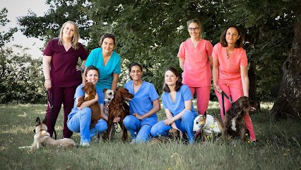 Clinique vétérinaire – Be my vet