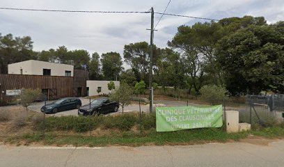 Dr Marie Deverriere, vétérinaire, visites à domicile, Arnica.Vet