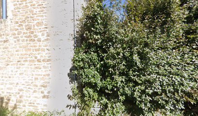 Vétérinaire Oona Van der Gucht