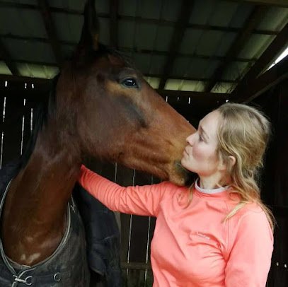 Ma’Veto – Docteure Marion Boidot – Vétérinaire Equin (chevaux, ânes, poneys)