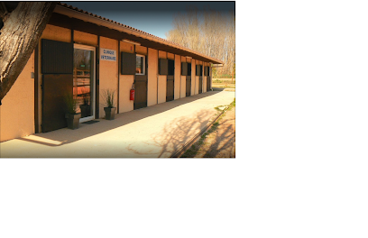 EQUIVETO Vétérinaires équins