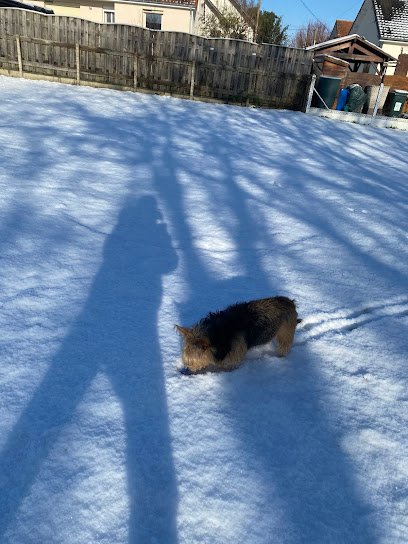 Cabinet vétérinaire des Mesnils