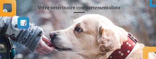 Vétérinaire Francine Lossois