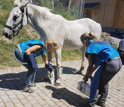 Vet’Equine – Vétérinaires équins à domicile (Annexe)