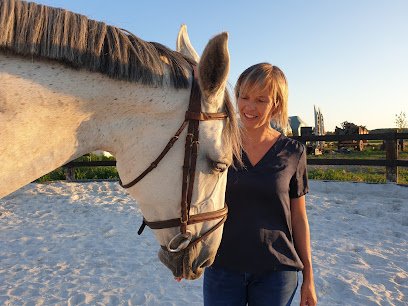 Vetérinaire Equin Tours (à domicile 37,72,49,41) | Florence Pichuèque Phytothérapie Chevaux