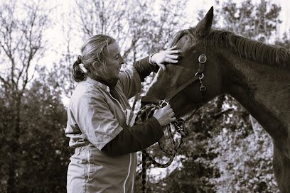 Docteur Vétérinaire Isabelle Darras