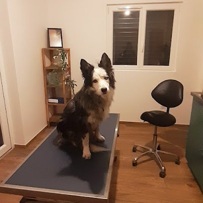 Dr Thémans Virginie, vétérinaire ostéopathe