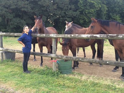 Dr Elisa BRAUD – Vétérinaire équin