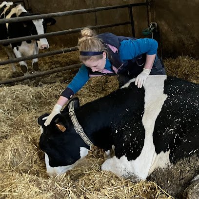 Anouck Fourier Ostéopathie Vétérinaire