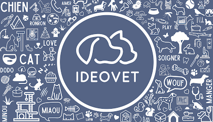 Clinique Vétérinaire IDEOVET