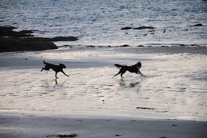 vetokineosteo – Dr Vet Fleur MARCEL