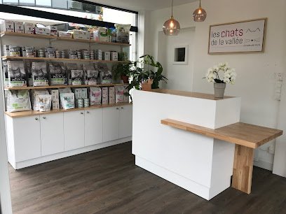 Les Chats de la Vallée – vétérinaire félin
