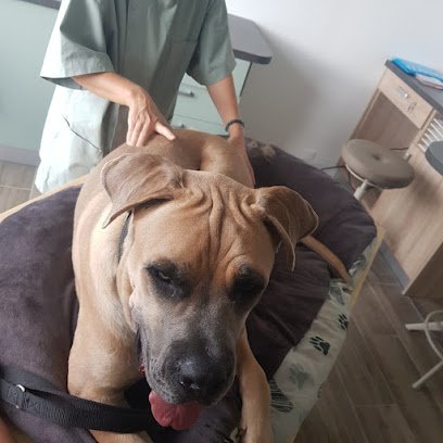 Juliette Mano vétérinaire ostéopathe