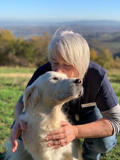 Cabinet Vétérinaire Les Bruyères