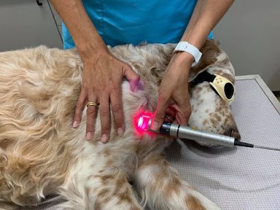 KineVetosteo Gestion de la douleur/ Ostéopathie/acupuncture/Phytothérapie/homéopathie/physiothérapie