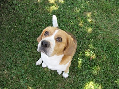 Clinique vétérinaire du Dr Simon Frédéric