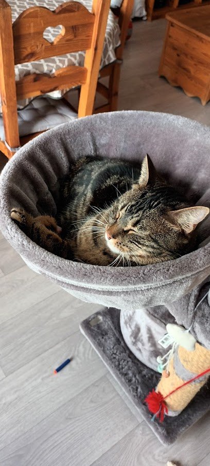 Languepin Christophe