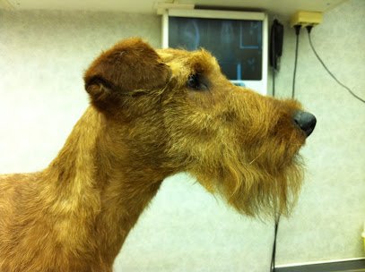 Cabinet Vétérinaire du Front de Seine