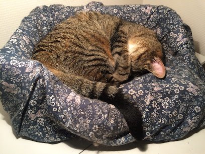 Dr Groslambert Éric