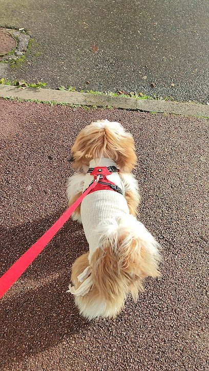 Vétérinaire Brétigny sur Orge du Dr Wyssmann