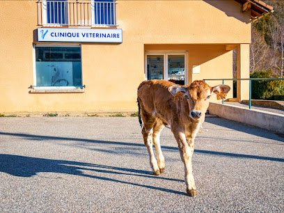 LE SAULT DE LA VACHE Cabinet Vétérinaire