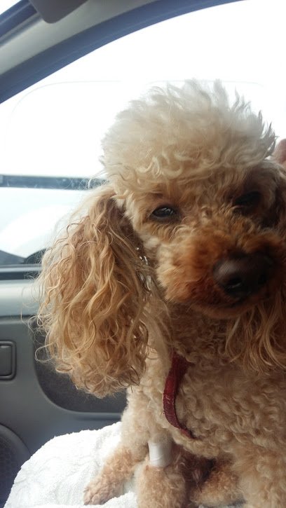 Cabinet Vétérinaire du Dr Mallet