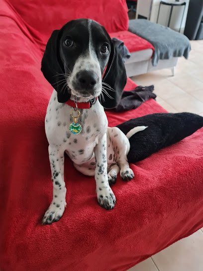 Cabinet vétérinaire de Sartilly