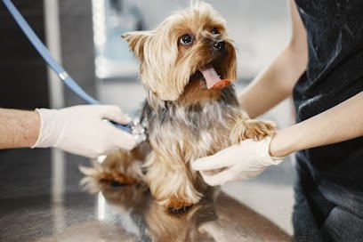 Vétérinaire Dr Lemonnier Lucie – Vet In Bretteville