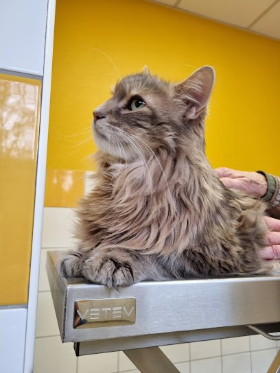 Arnold Tavernier Helene