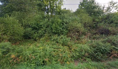 Cabinet Veterinaire Des Tours