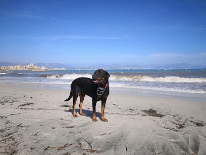 Cabinet vétérinaire médico-chirurgical CL VET