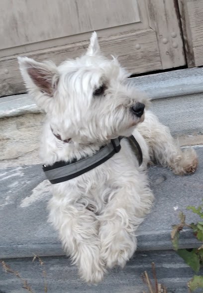 Cabinet vétérinaire du Dr Vincent FORT