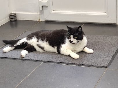 Veterinary clinic Carozzo, DEGUEURCE, CASTLE