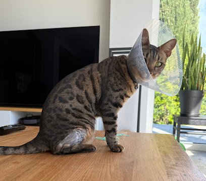 Clinique Vétérinaire Docteurs Prat et Nadal