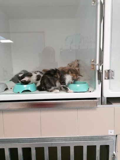 Clinique vétérinaire du Lapin Blanc