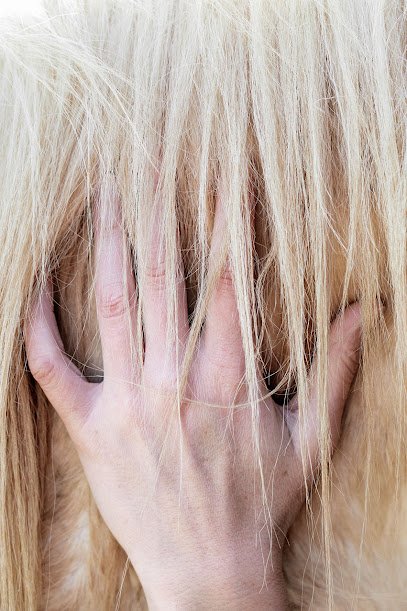 Cabinet d’ostéopathie vétérinaire