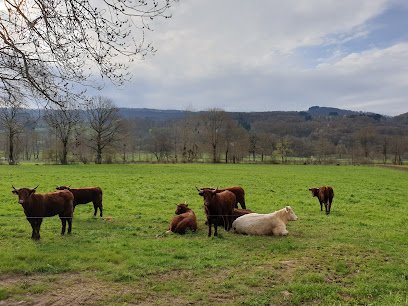 Cab Veterinaire Delrieu Guedon Stenuit