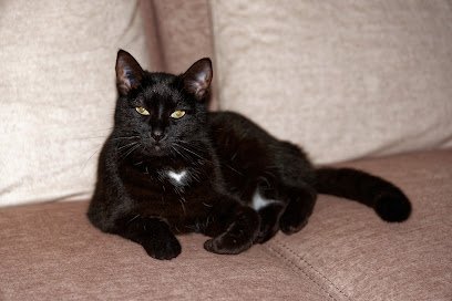 Fosse Reynal Laetitia