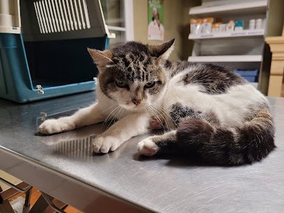 Cabinet vétérinaire VétOzilhan