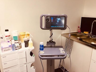 Cabinet Vétérinaire Felivet