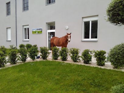 Frédéric Knoerr – Vétérinaire