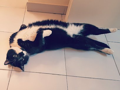 Clinique vétérinaire de Jolimont