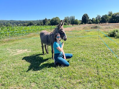 Cabinet Vétérinaire de la Vallée – Angelo Pizzamiglio
