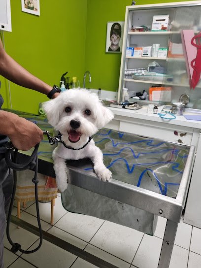 Cabinet Vétérinaire Le Metayer