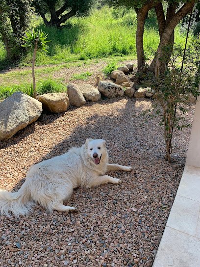 Dr Vassili VOVK Benist’Animalia