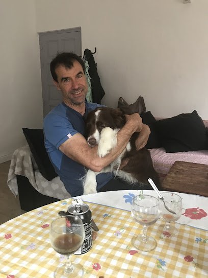 Cabinet Vétérinaire du Golu – Dr. Memmi Marc