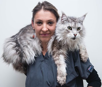 Clinique Vétérinaire des Remparts Dr. DELMAS