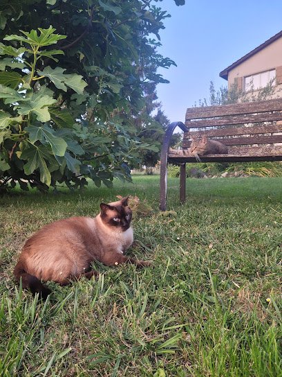 Clinique Vétérinaire Au Doux Veto